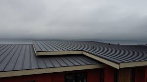 Steel Roofing in Dexter, OR